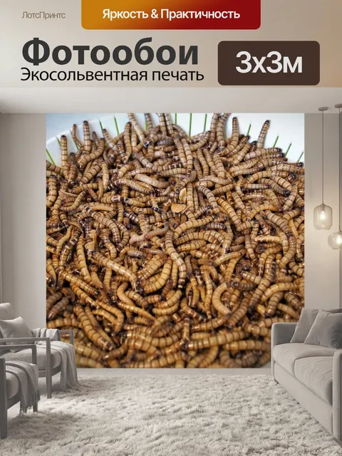 Фотообои Mouční