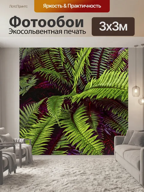 Фотообои Папоротник