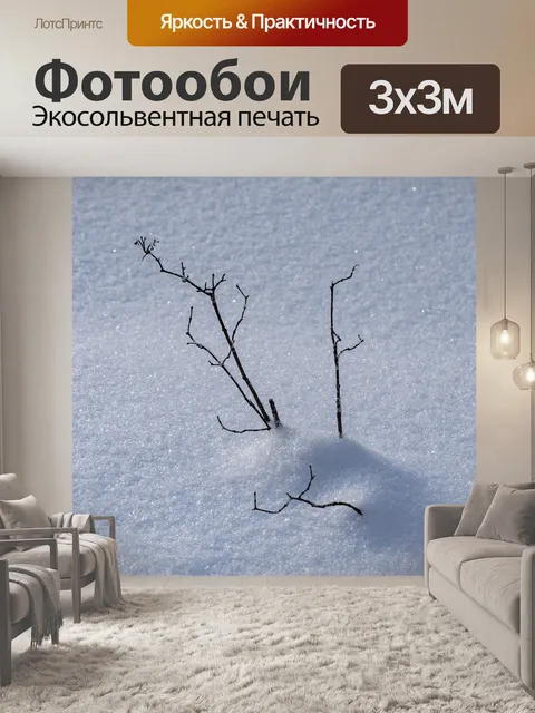Фотообои Деревья