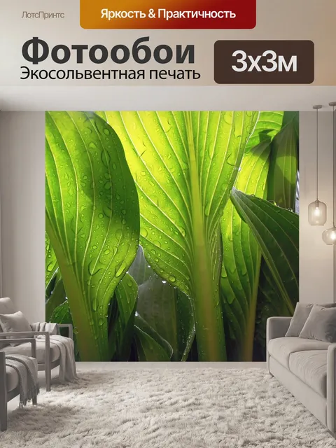 Фотообои Листья
