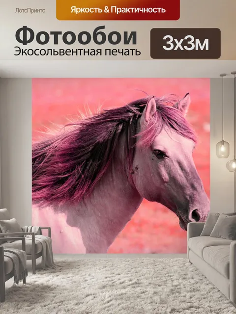 Фотообои Лошадь