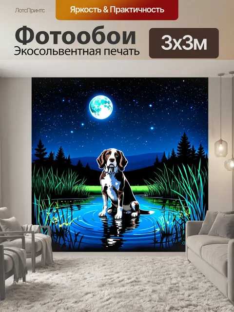 Фотообои ночной пейзаж с английским спрингер спаниелем
