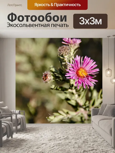 Фотообои Цветы