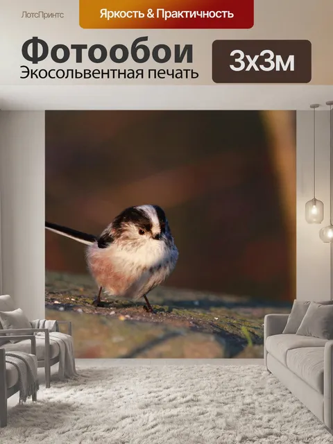 Фотообои Птица