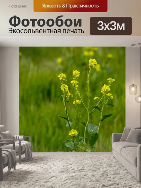 Фотообои Цветы горчицы