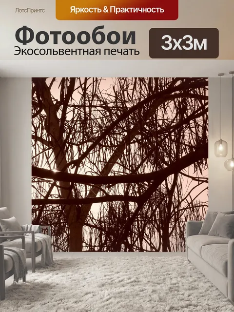 Фотообои Деревья