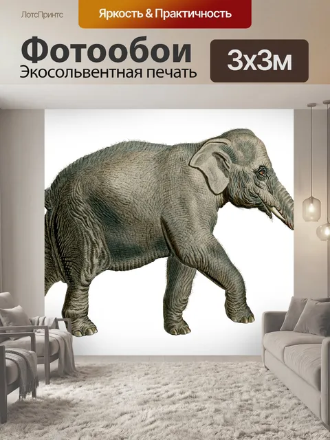 Фотообои Слон старинное искусство старый