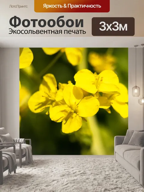 Фотообои Цветы