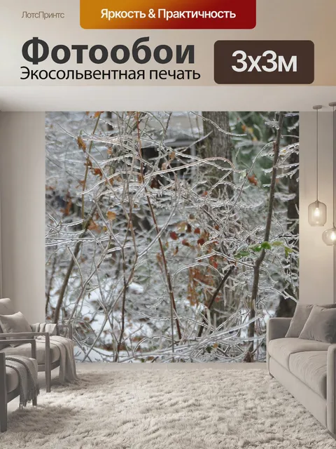 Фотообои Зима