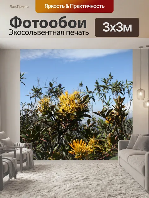 Фотообои Цветы