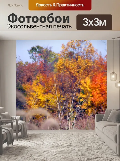 Фотообои Осень поле