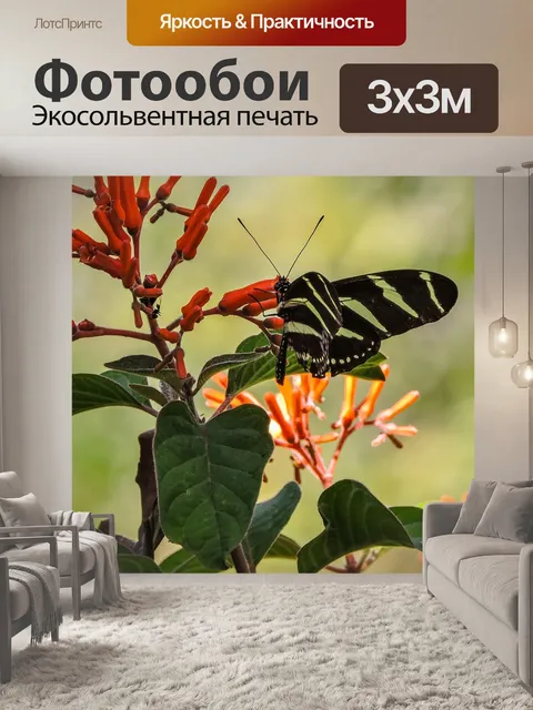 Фотообои Насекомые