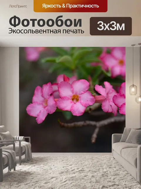 Фотообои Увлекательно