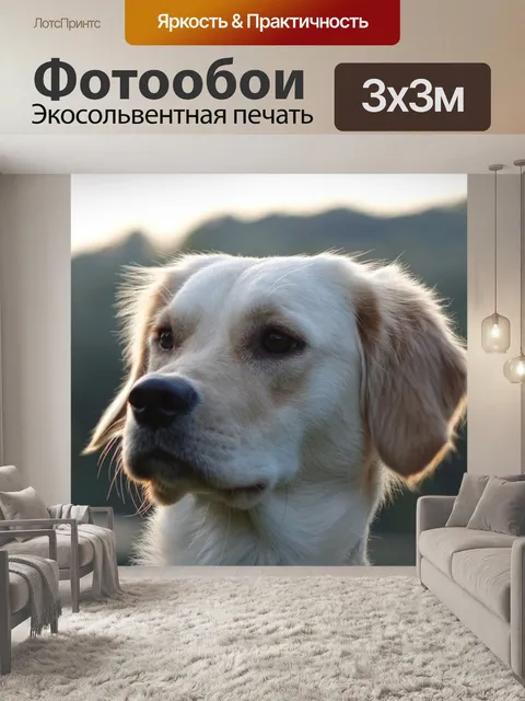 Фотообои Собака