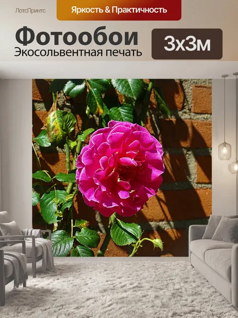 Фотообои Цветы