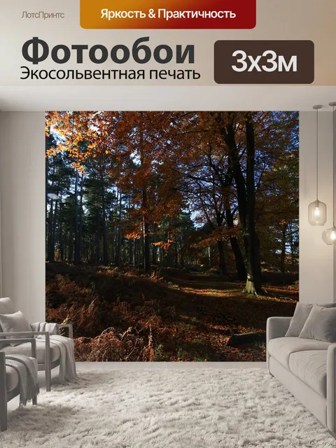 Фотообои Лес