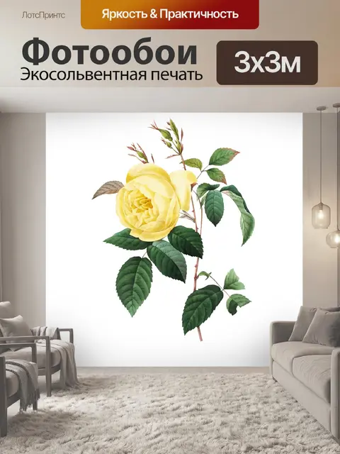 Фотообои Цветы винтаж клипарт роза