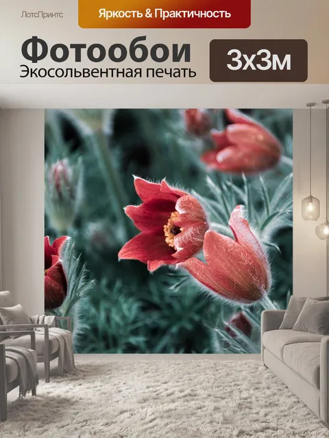 Фотообои Цветы