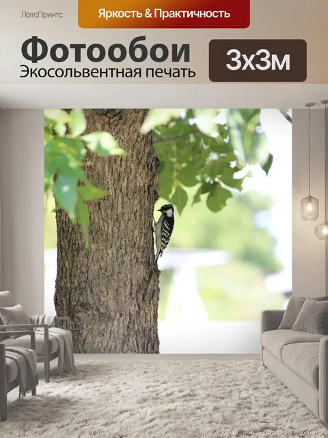 Фотообои Ложная дятел