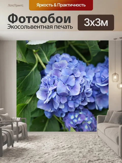 Фотообои Цветы