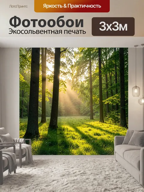 Фотообои Солнечные лучи в лесу