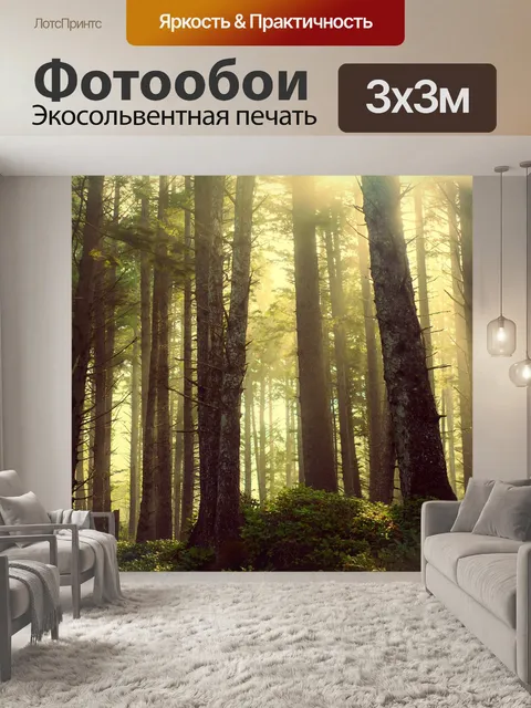 Фотообои Лес