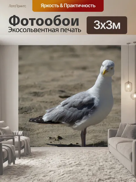 Фотообои Птица