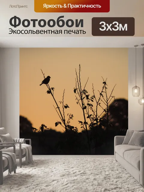 Фотообои Воробей