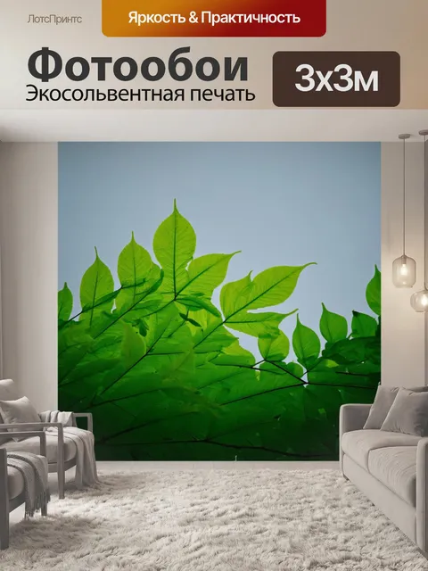 Фотообои градиент зелёных листьев на фоне серого неба