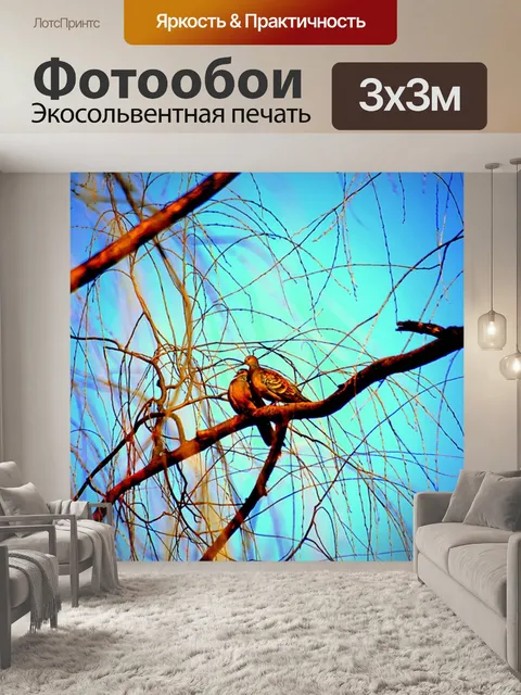Фотообои Птицы