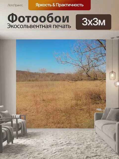 Фотообои Последняя зима