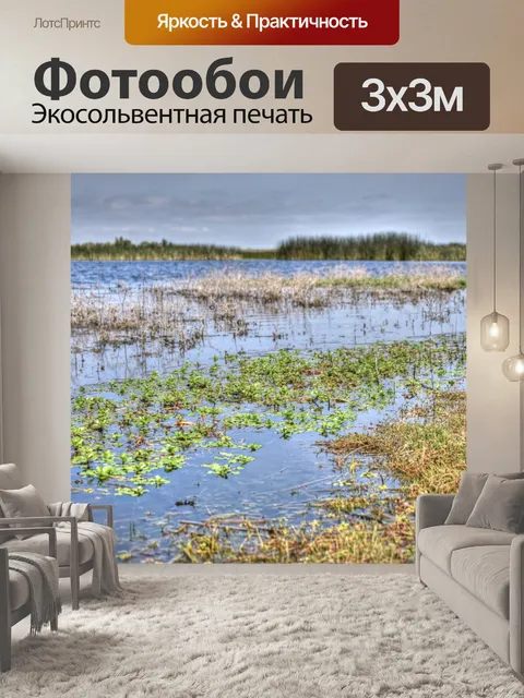 Фотообои Вода из водно-болотных угодий
