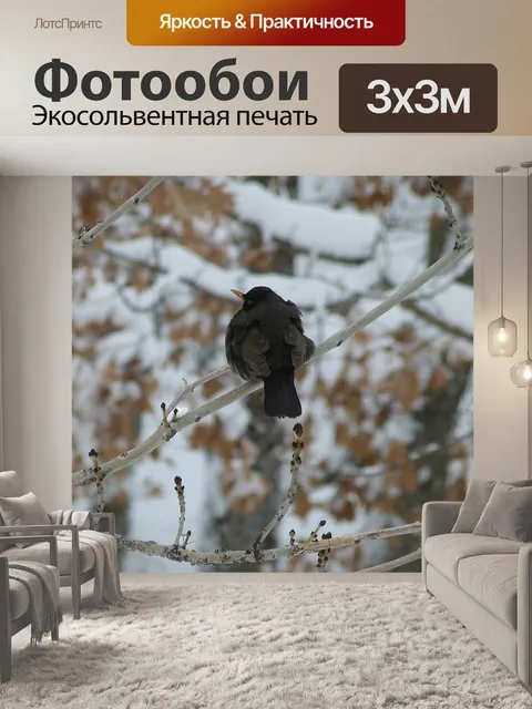 Фотообои Птицы