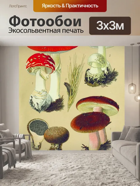 Фотообои Грибы ядовитые старинные искусства
