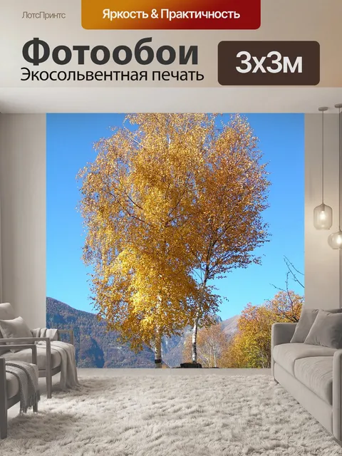 Фотообои Береза