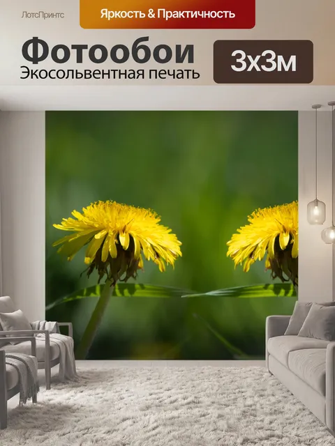 Фотообои Одуванчик