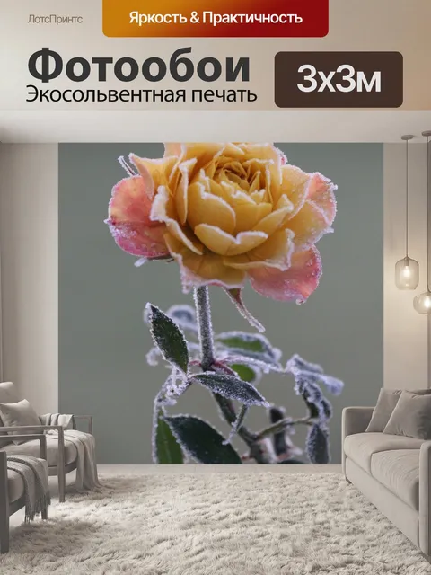 Фотообои Роза