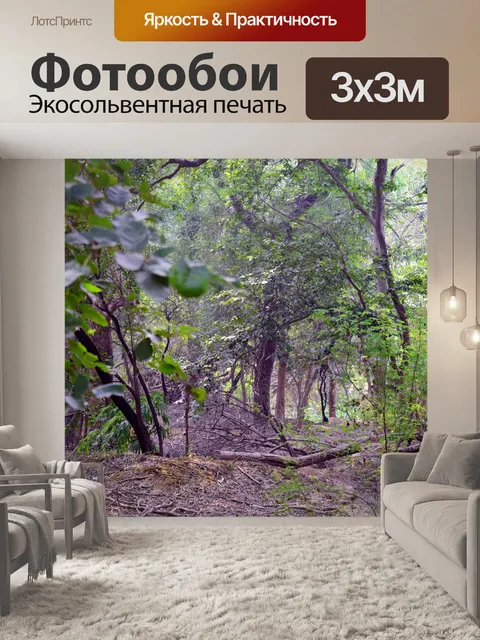 Фотообои лес 12