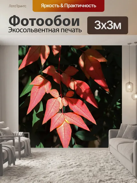 Фотообои солнечный свет и тень на красном священн