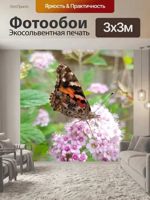 Фотообои Бабочка