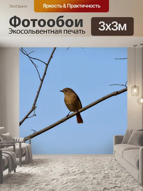 Фотообои Животное