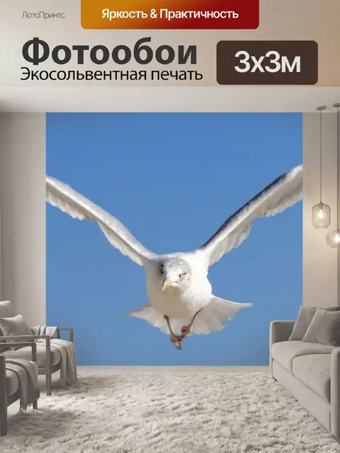 Фотообои Птица