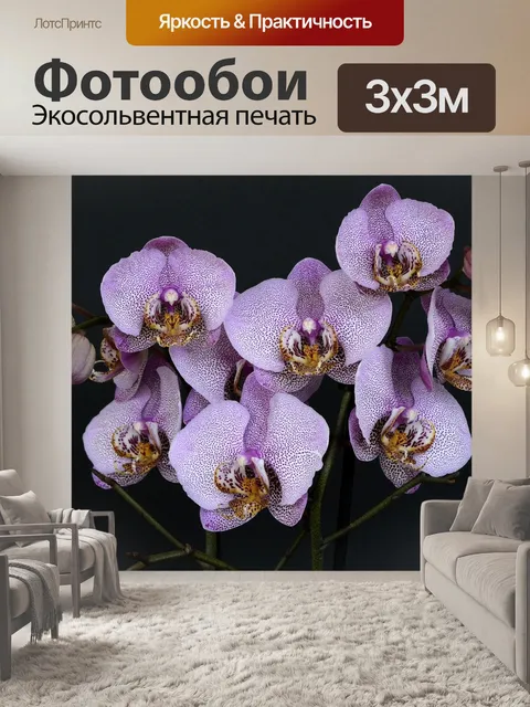 Фотообои Орхидеи