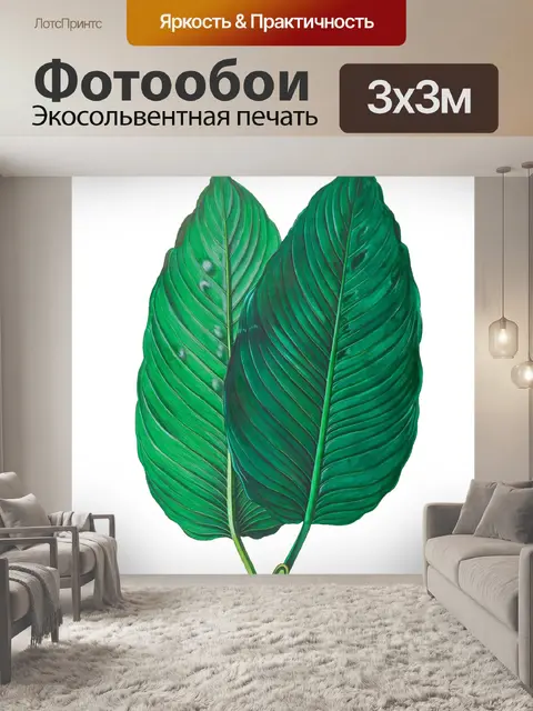 Фотообои Листва лист растение прозрачный