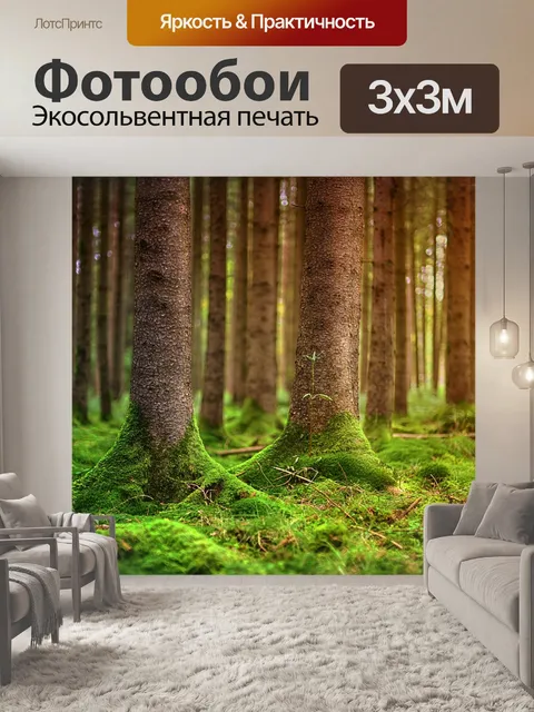 Фотообои Лес