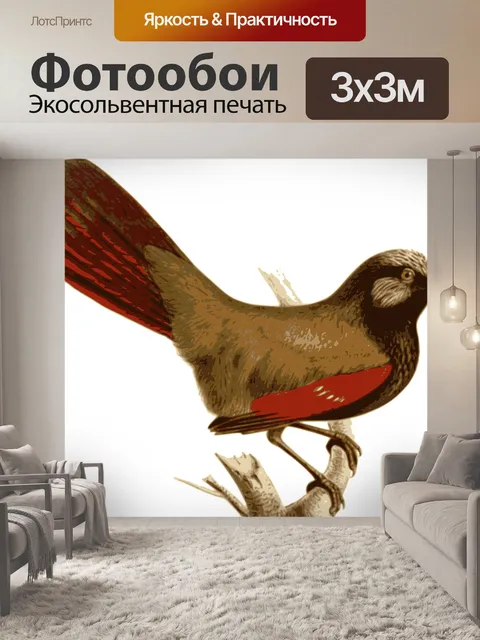 Фотообои Птица