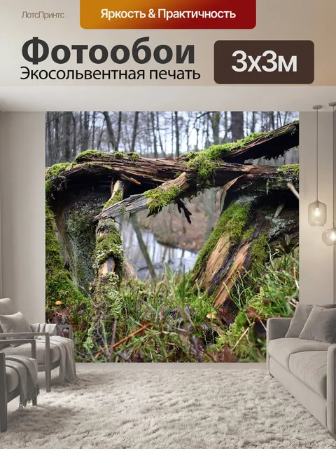 Фотообои Бассейн