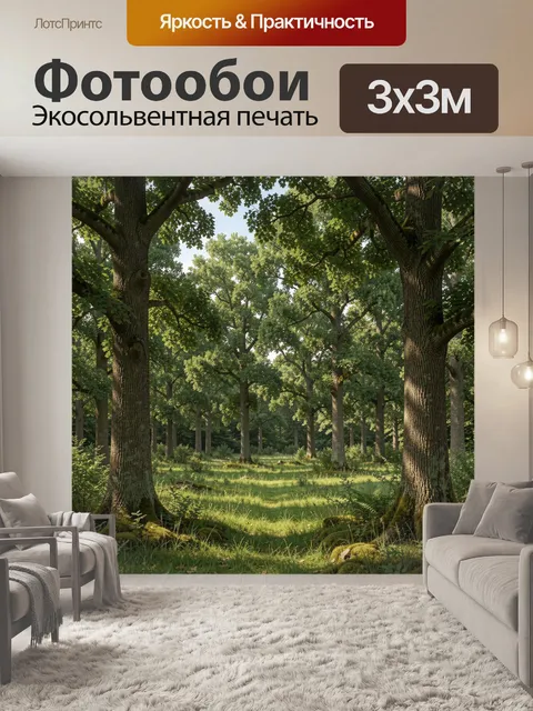 Фотообои Летний лес с высокими деревьями