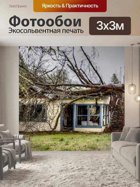 Фотообои Дом, раздавленный упавшим деревом