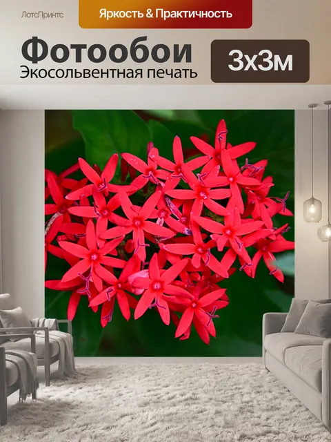 Фотообои Santan
